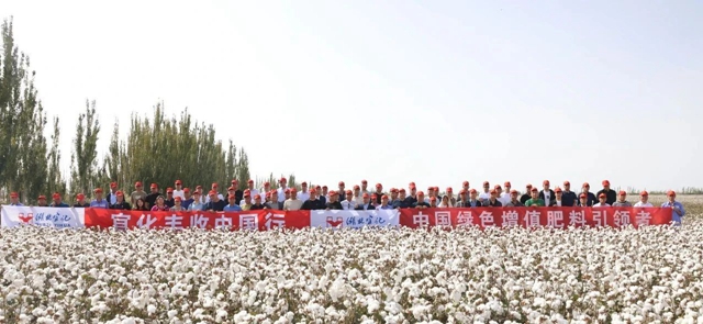 宜化豐收中國行！新疆棉花大型測產(chǎn)觀摩會成功舉行